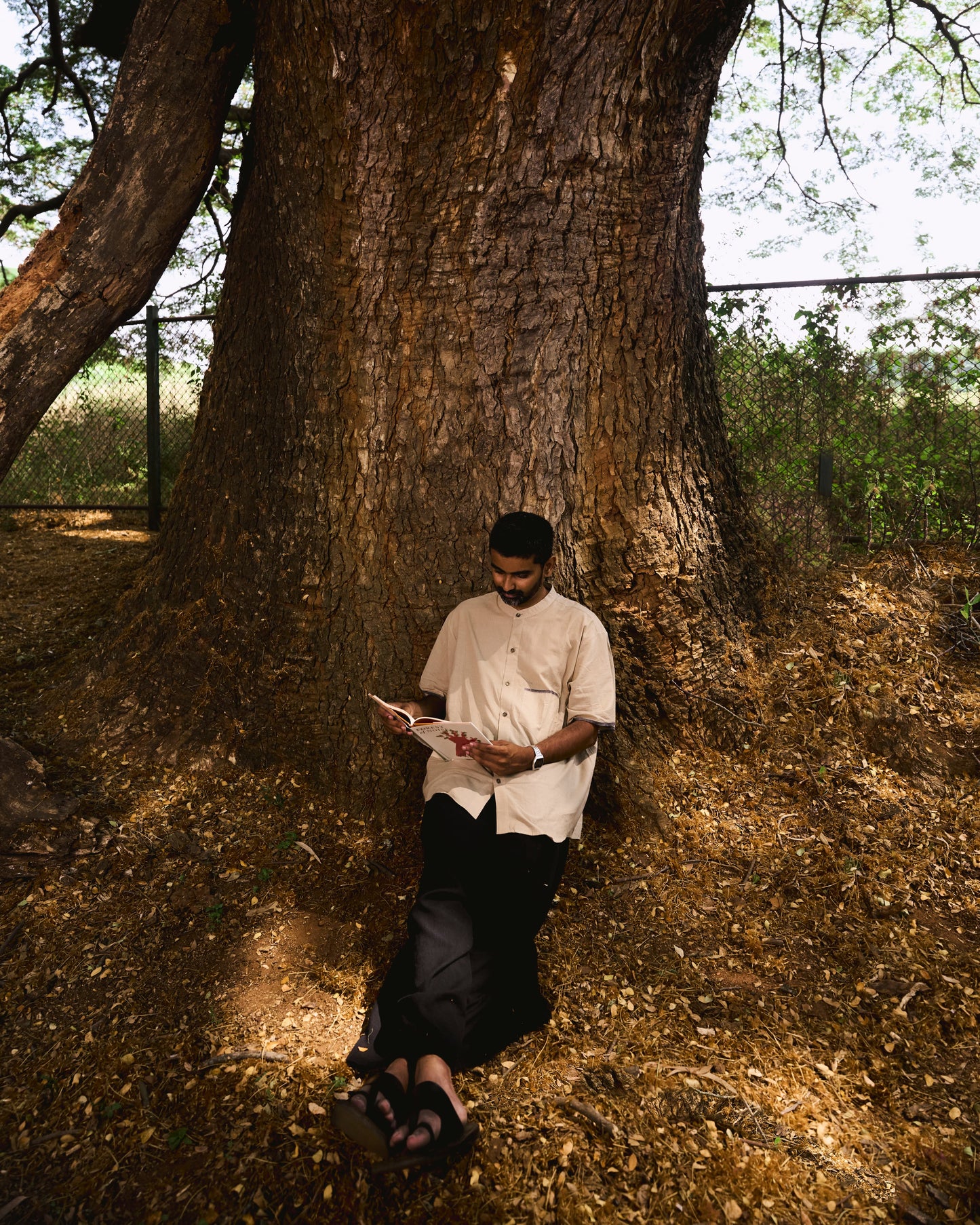 Man standing under a large tree holding a book in a natural setting